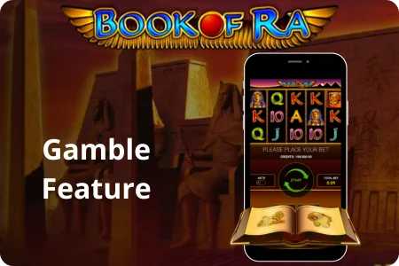 Book of Ra real money Gamble Feature
